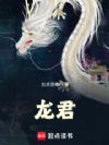 龙君!